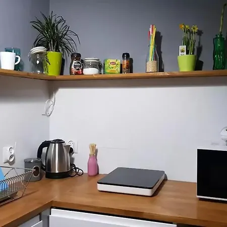 Wojewodzka Cozy Katowice