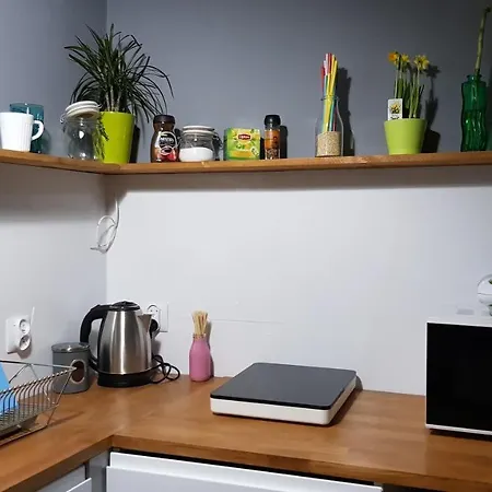Wojewodzka Cozy
