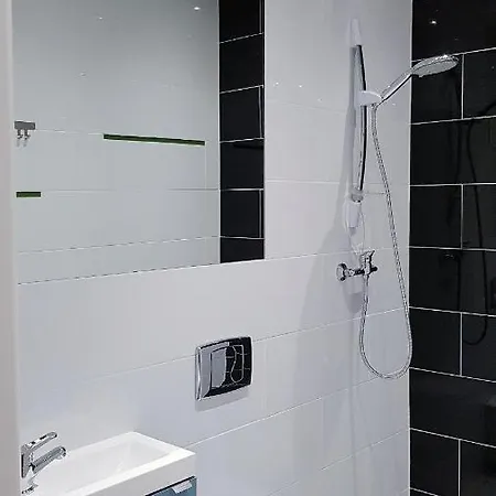 Wojewodzka Cozy Appartement Katowice