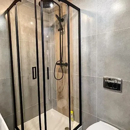 Wojewodzka Cozy Appartement Katowice