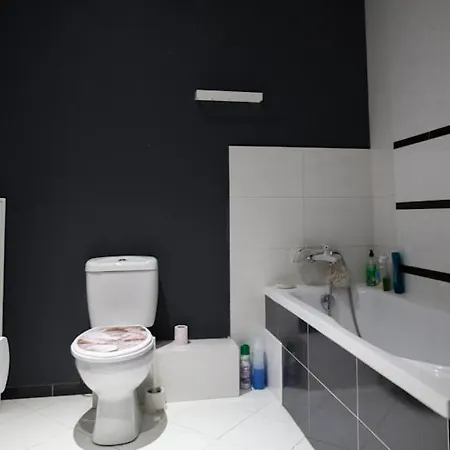 Wojewodzka Cozy Appartement *